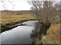 NC1601 : Bend in the River Canaird by John Ferguson