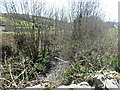 The Moneycarragh River below Moneycarragh Bridge