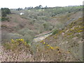 Upper Solva Valley towards Carn-y-fran