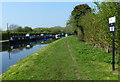 Narrowboats moored along the Shropshire Union Canal