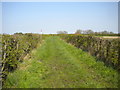 Track south of Selston (1)