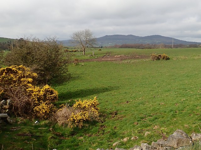 Grazing land west of Aghlisnafin Road
