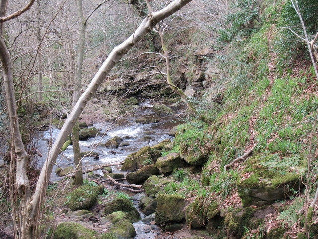 West Beck © T Eyre cc-by-sa/2.0 :: Geograph Britain and Ireland