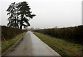 Road From Balscote to Shutford