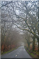ST1517 : Taunton Deane : Country Road by Lewis Clarke