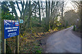 East Devon : Country Lane