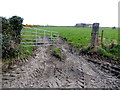 Muddy field entrance, Meaghy