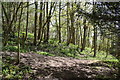 Footpath junction on the North Downs Way