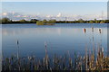 SP8964 : Lake by Doddington Crossing by Philip Jeffrey