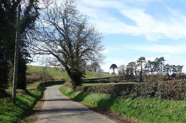 Sweeping bends in the Manse Road west of Seaforde