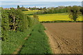 Footpath into Wollaston