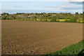 View over the field to Wollaston