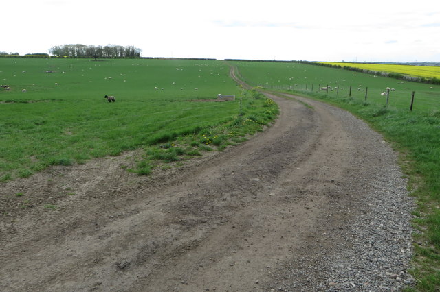 Farm track near Strixton