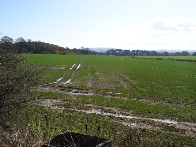 View from a Winchburgh-Queensferry train - fields near Craigbrae Farm