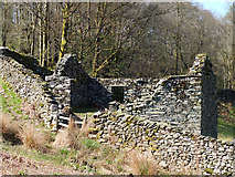 NY3406 : Ruin South of Rydal Water by Gary Rogers