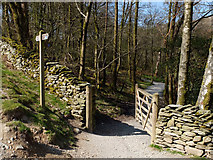 NY3406 : Path from Loughrigg Terrace to the River Rothay by Gary Rogers