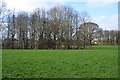 Trees, West Ewell