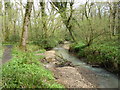 ST5107 : View downstream, from the lower footbridge, Bracket's Coppice by Maurice D Budden