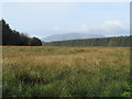 NY0371 : Boggy rough pasture on Lochar Moss near Dumfries by ian shiell