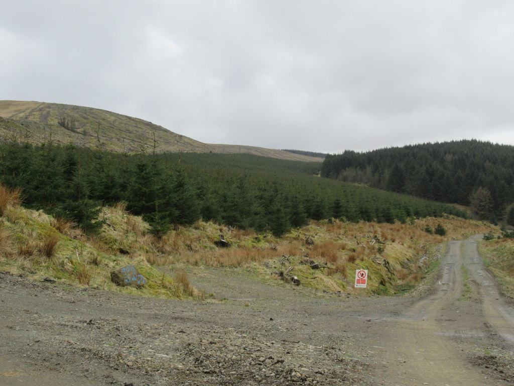 Forest track junction on Brunt Hill near... © ian shiell cc-by-sa/2.0 ...