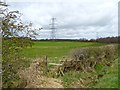 Field with pylons