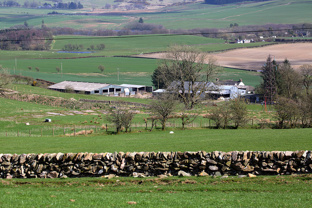 Whiteyard Farm