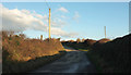 Lane past Tregaverne