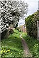 Footpath behind Church, Martinstown