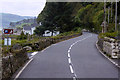 Antrim Coast Road near Garron Point