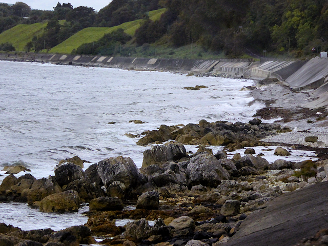 Shoreline to the south of Garron Point