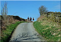 SD4596 : Dales Way Walkers by Mary and Angus Hogg