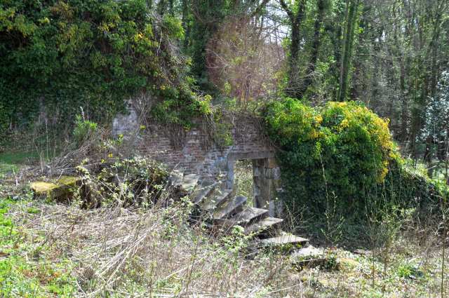 Old Steps at Valleyfield House Walled Garden