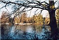 Lake near Withcote Hall