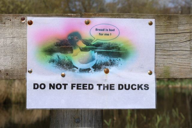 do-not-feed-the-ducks-billy-mccrorie-cc-by-sa-2-0-geograph-britain