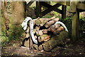 NX0163 : Snake in the Wood Pile by Billy McCrorie