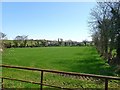 Bocage landscape south of Manse Road, Seaforde