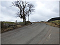 Old Greenock Road