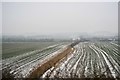 Hedge, ditch & snow