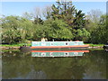 "Jasmine II" narrowboat on Grand Union Canal