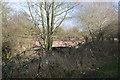 Tolworth Court Bridge through trees