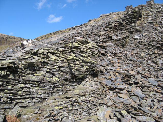 Main incline