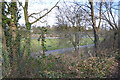 Surbiton Raceway (through a fence)