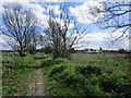 Footpath on the edge of Thurnscoe