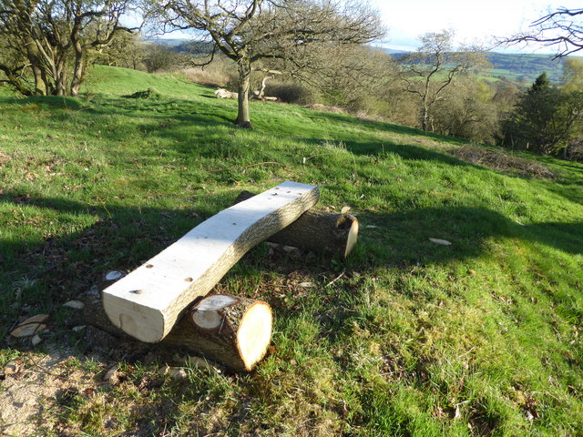 Bench on the castle motte