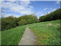 Footpath to Burnside