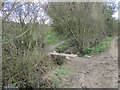 Footbridge over a drain