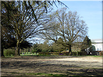 TQ1730 : Raw area, Horsham Park by Robin Webster