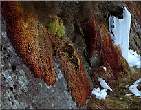 SN8963 : Low rock face with colourful moss and icicles by Andrew Hill