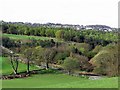 View south-west from Wylam Wood Road