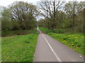 Foot and cycle path towards Earlswood